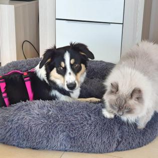 Minka - mit einem kleine Schönheitsfehler