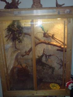 Großes Terrarium zu verkaufen. auf Wunsch mit Grünen Leguan
