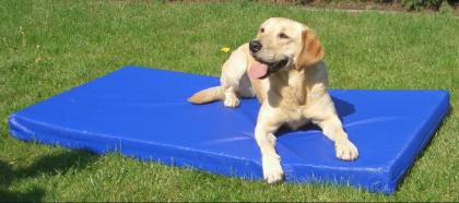 Antiallergische Hundematte, beugt Rheuma vor