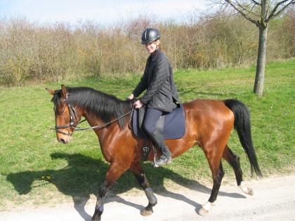 Biete Reitbeteiligung bei Böblingen