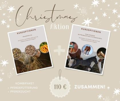 Kurse Rund ums Pferd - Weihnachtsaktion
