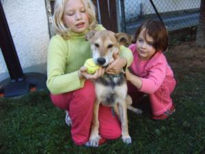 Paco, kleiner Dreikäsehoch sucht endlich eine eigene Familie