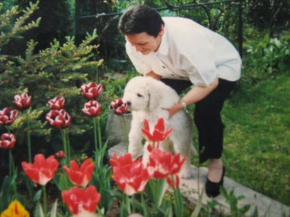Komondor welf-FEH R HUNYOR kennek