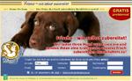 Frisch zubereitete Hundefutterprobe gratis