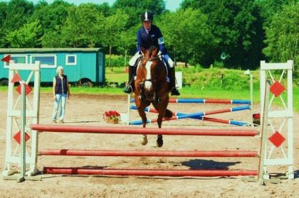 Biete Reitbeteiligung auf Sportpony in stade/21682