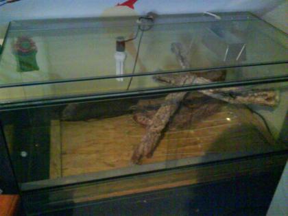 Terrarium 120x60x60
