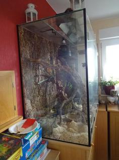Schönes Glas Terrarium Rep Guard gesteuert Kornnattern etc.