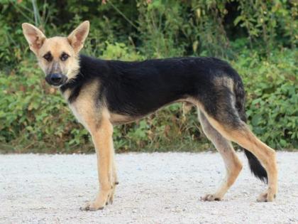 Godfrey. freut sich auf seine Familie