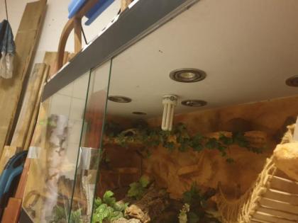 Wüsten Terrarium