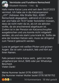 Katze aus Pension verschwunden