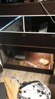 Doppelterrarium zu verkaufen
