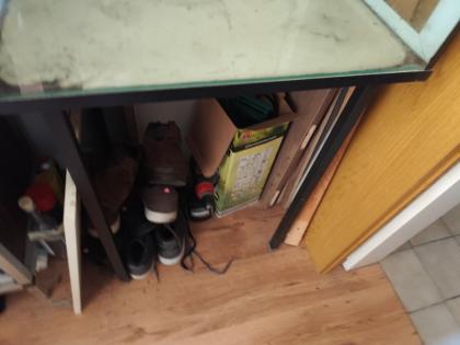 Chamäleon Terrarium zu verkaufen