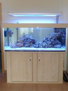 Hochwertiges Meerwasser-Aquarium kurzer Lz. aus beruflichen Gründen abzugeben