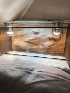 Glasterrarium Reptilien