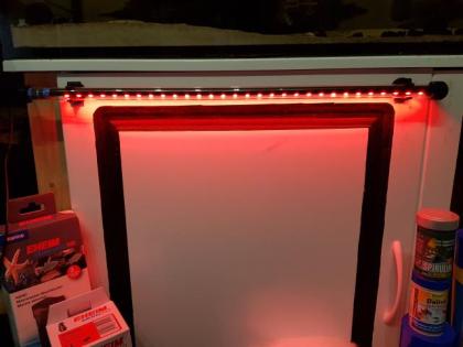 2 sehr schöne Aquarien viel Zubehör