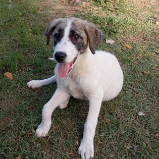Bounty / Status sucht ein Zuhause