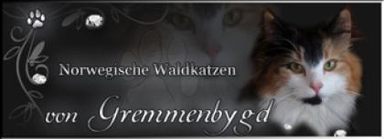 Wir erwarten im Mai Babys Norwegische Waldkatzen
