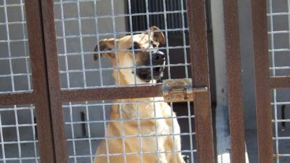 Mali hat eine Chance verdient