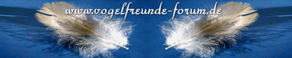 Die Vogelfreunde treffen sich