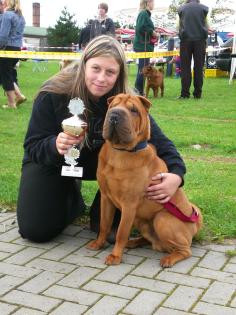 Internationale Rassehundeausstellung am 14. 6. 2021