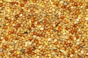 Wellensittichfutter 10 kg