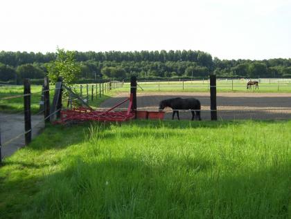 BOXEN FREI