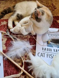 Rabattcode Kater kasimir Catnip Katzenminze Spielzeug Baldrian