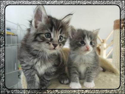Gängsterpärchen Bonny und Clyde