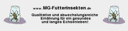 Www. mg-futterinsekten. de / Futterinsekten in höchster Qualität
