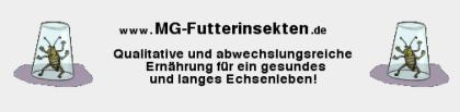 Futterinsekten, Futtertiere, Heuschrecken, Heimchen, Grillen uvm.