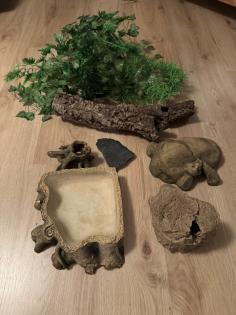 Verkaufe Kornnatter Terrarium falls benötigt