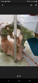 Fur beide 30 euro