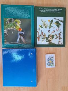 Natur- und Tierbücher Tierkinder Cube Book