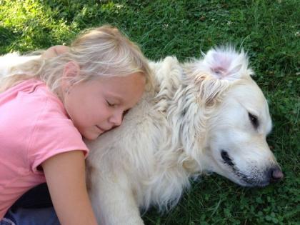 Liebevolle und zuverlässige HUNDEBETREUUNG Rund um die Uhr