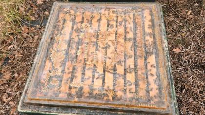 Bienenvolk, Wirtschaftsvolk