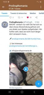 Wem dürfen wir treu zur Seite stehen