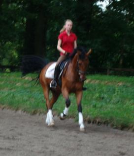 Hallo liebe Ponybesitzer D