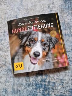 6 Stufen Plan Hundeerziehung