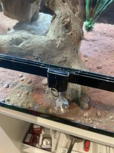 Terrarium inkl. Zubehör ideal für Reptilien, abzugeben
