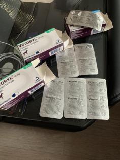 Vetoryl für Hunde