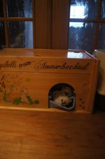 Bald kommen unsere Babys