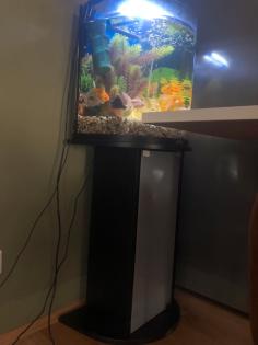 Aquarium mit Fischen und Zubehör