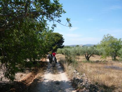 REIT-URLAUB AN DER COSTA DORADA