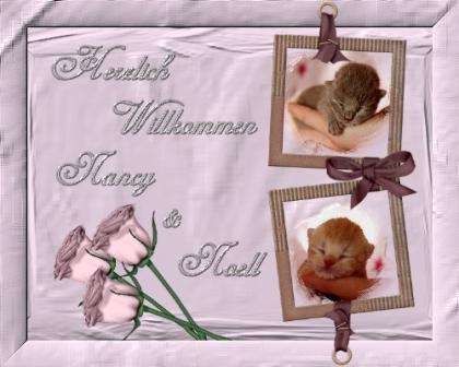 Wir suchen Dosis