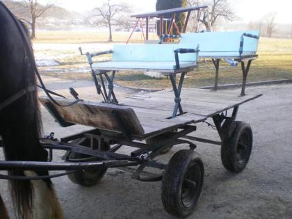 4 sitzer Kutsche und Einspännergeschirr