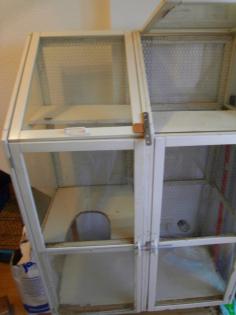 Großer Ratten/Degukäfig an Selbstabholer zu verschenken