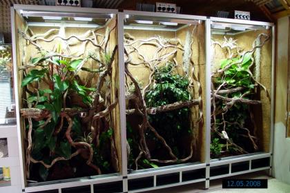 Verkaufe bis zu 3 Terrarien