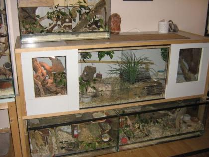 Holz-Terrarium 180x60x60cm