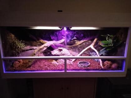 Königspython Terrarium 150x60x70 inkl. Technik