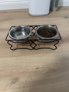 Bengalen mit kompletter Ausstattung